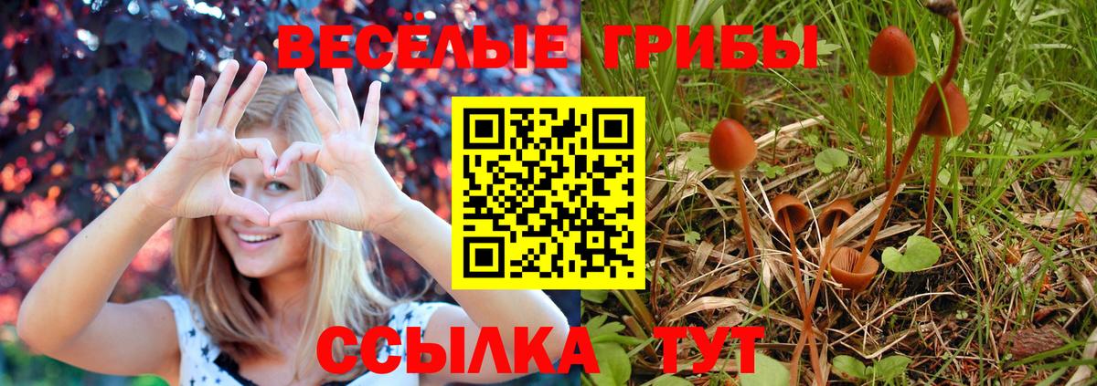 Галлюциногенные грибы MAGIC MUSHROOMS Курган