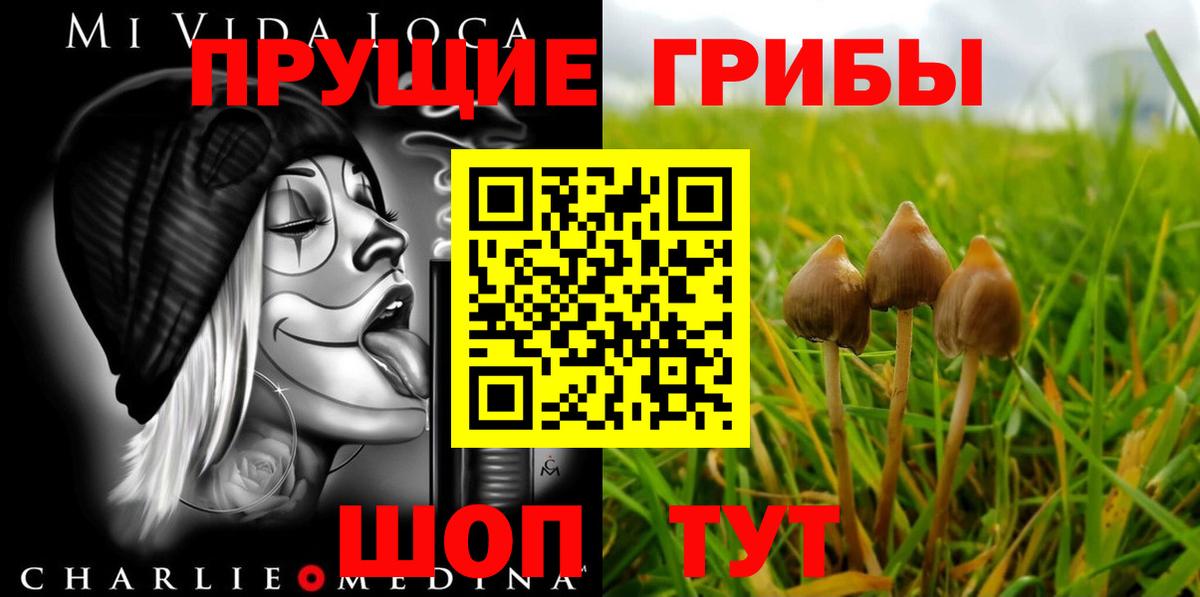 Мефедрон  Гарик  25-NBOMe  Вход с VPN  Гашиш  МЕФ  Molly  Курган  МАРИХУАНА  Альфа ПВП  Cocaine  Каннабис 