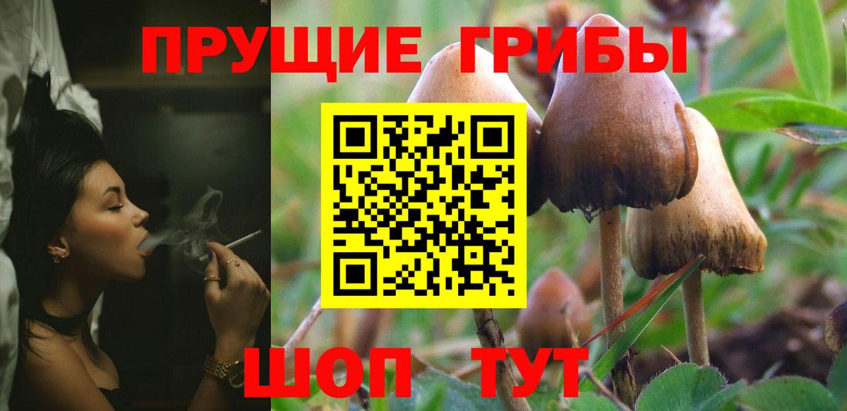 Псилоцибиновые грибы Magic Shrooms Курган